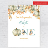 Fall Pumpkin Welcome Sign Printed 1st Birthday Decor Gender Neutral First Birthday Poster One Year Autumn Party Our Little Pumpkin Party