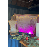 Royal Birthday Backdrop, Castle Backdrop - iJay Backdrops