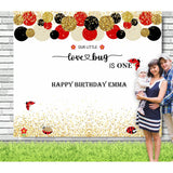 Lovebug First Birthday Backdrop - iJay Backdrops
